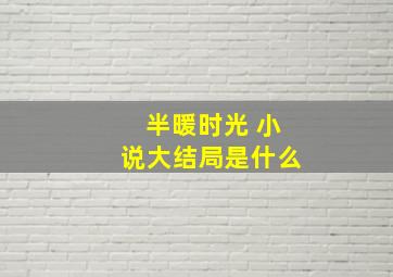 半暖时光 小说大结局是什么